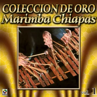 Colección De Oro, Vol. 1: El Bodeguero by Marimba Chiapas