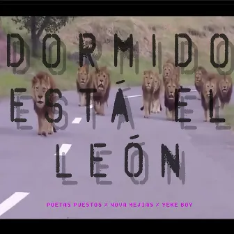 Dormido Está el León by Yeke Boy