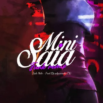 Mini Saia (Funk Remix) by Dj Salgueirinho