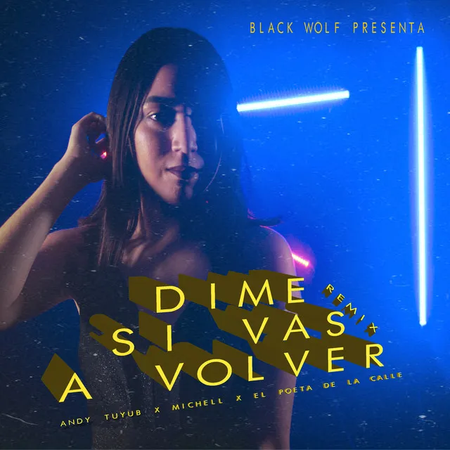 Dime Si Vas a Volver - Remix