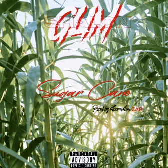 Sugar Cane by Glim Shalon