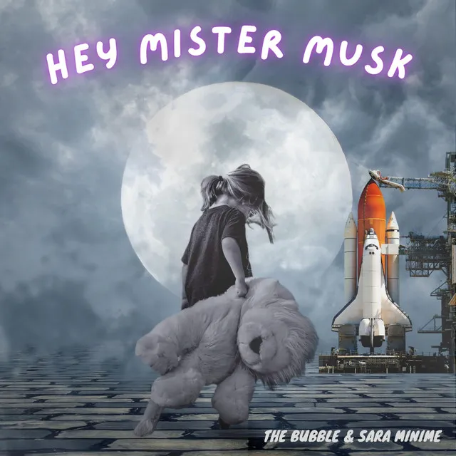 Hey Mister Musk