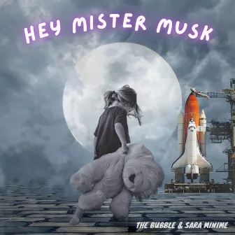 Hey Mister Musk by Sara Minime