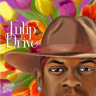 Tulip Drive by Jimmie Allen