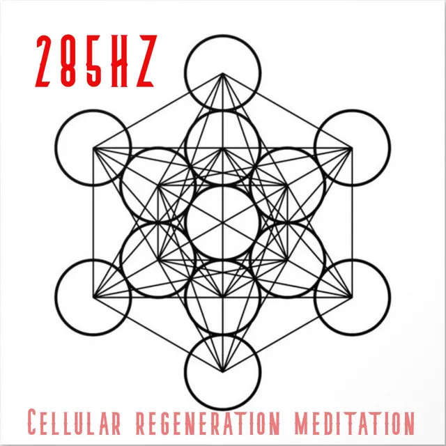 285hz Cellular Regeneration Meditation Sound Bath (528hz Tuning)