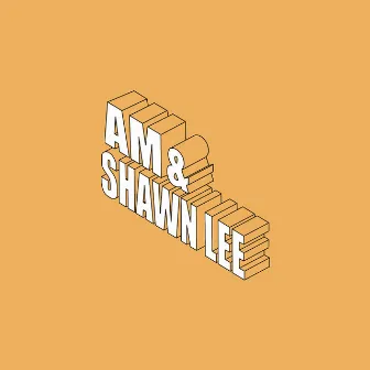 You Are in My System by AM & Shawn Lee