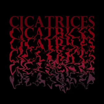 Cicatrices by Sergio Saldivar