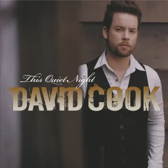 This Quiet Night by David Cook