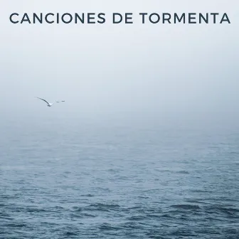 Canciones De Tormenta by Ruido relajante y sonidos para dormir