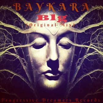 Blg by Baykara