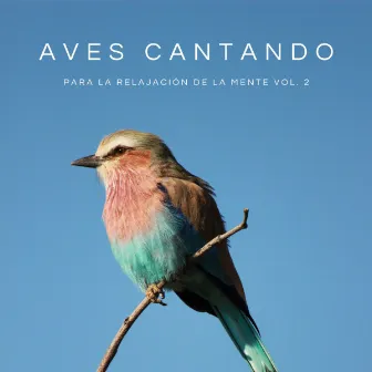 Aves Cantando Para La Relajación De La Mente Vol. 2 by Música de Trabajo De Lujo