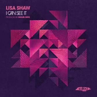 I Can See It by Lisa Shaw