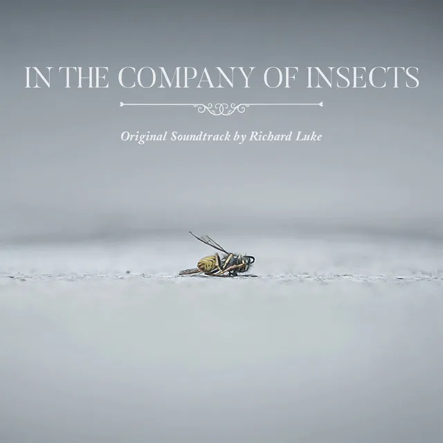 In the Company of Insects (Original Soundtrack)