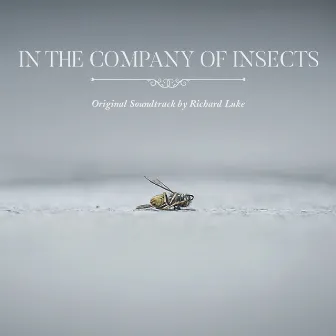 In the Company of Insects (Original Soundtrack) by Richard Luke