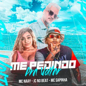 Me Pedindo pra Voltar by Mc Naay