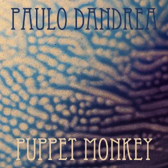 Puppet Monkey by Paulo Dandrea