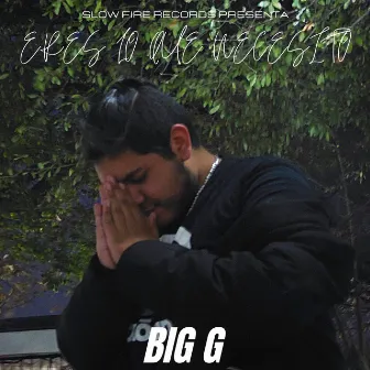 Eres Lo Que Necesito by Big G