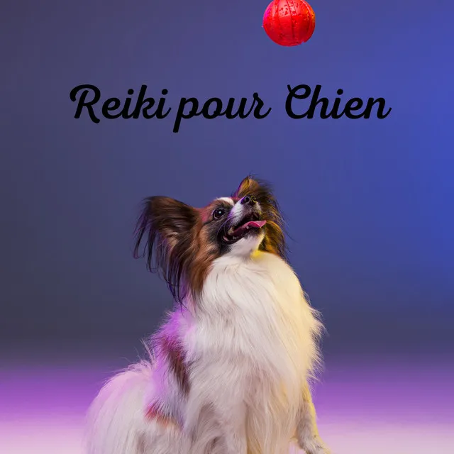 Détente profonde pour les chiens