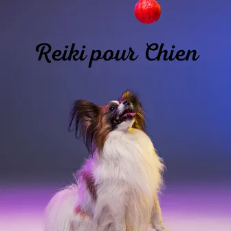 Reiki pour Chien : musique de zoothérapie pour une relaxation profonde by 