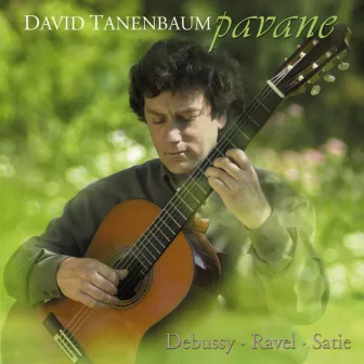 Pavane by David Tanenbaum