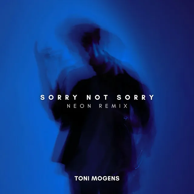 Sorry Not Sorry (Neon Remix)