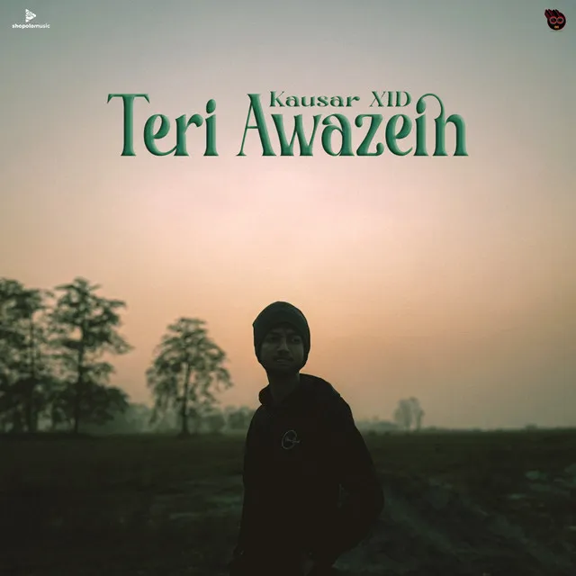 Teri Awazein