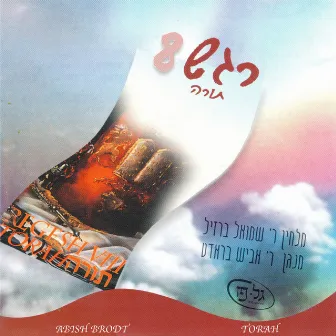 Regesh, Vol. 8 - Torah by Abish Brodt