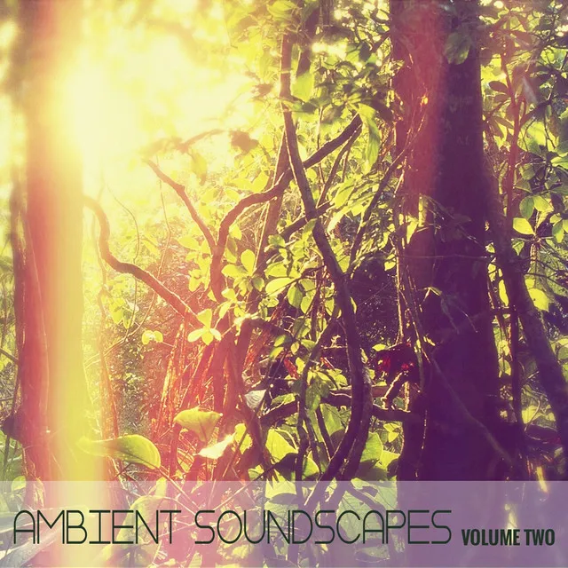 Ambient SoundScapes, Vol. 2