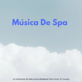 Música De Spa: Un Ambiente De Naturaleza Relajante Para Curar Tu Cuerpo by Lista de reproducción de música de spa