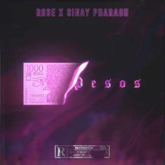 Pesos by Rose