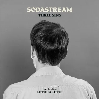 Three Sins by Sodastream