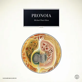 Pronoia by Michael Peter Olsen