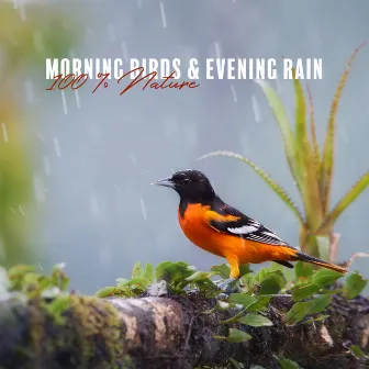 Morning Birds & Evening Rain: 100 % Nature by Jasmine Soft