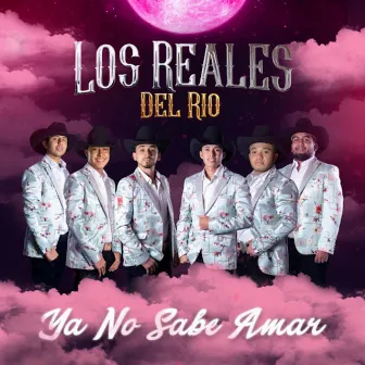 Ya No Sabe Amar by Los Reales Del Rio