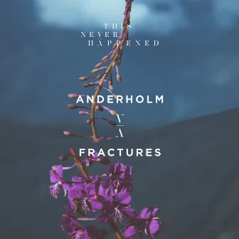 Fractures by Anderholm