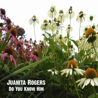 Do You Know Him by Juanita Rogers