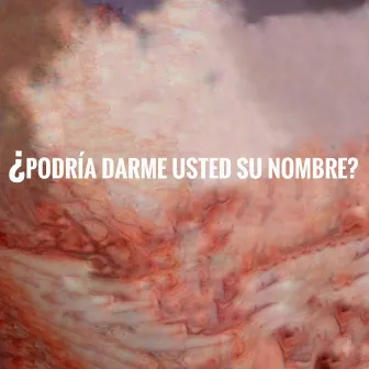 ¿Podría Darme Usted Su Nombre? by Esteban Gómez González