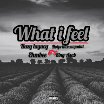 What I feel by Huzy Legacy