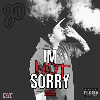 Im Not Sorry by Jdmakesmusic