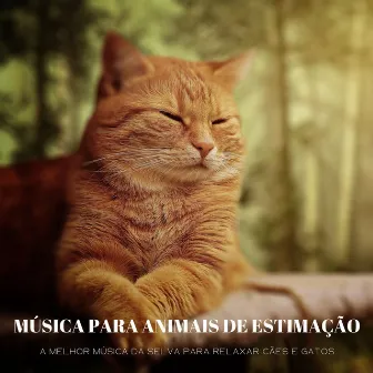 Música Para Animais De Estimação: A Melhor Música Da Selva Para Relaxar Cães E Gatos by Sonidos De Todos Ruídos