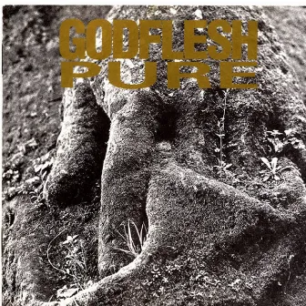 Pure by Godflesh