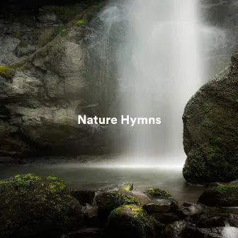 Nature Hymns by La Naturaleza Del Sueño