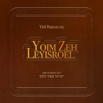 Yoim Zeh Leyisroel by Yidi Bialostozky