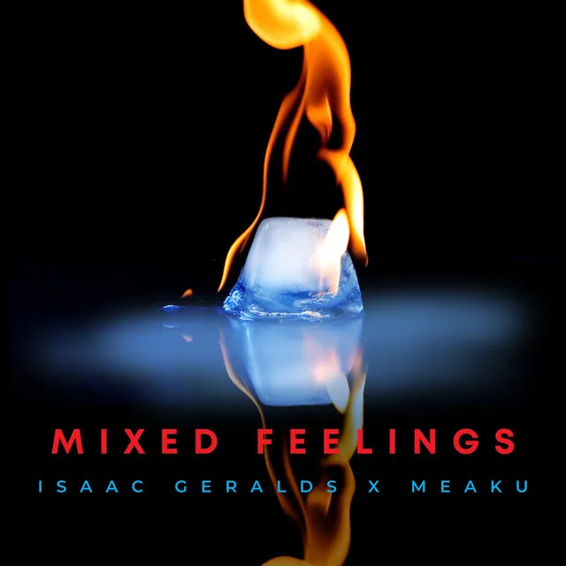 Mixed Feelings (Remix)