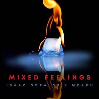 Mixed Feelings (Remix) by Isaac Geralds