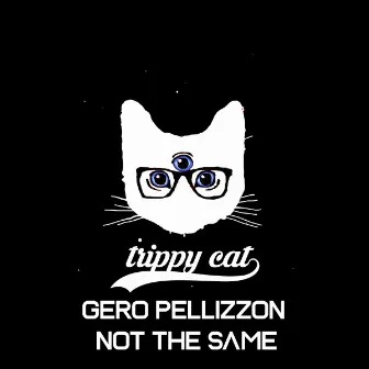 Not The Same by Gero Pellizzon