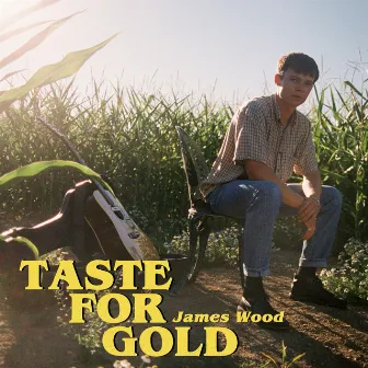 Taste for Gold by James Wood