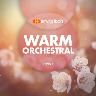 Warm Orchestral by Matthew Sanchez