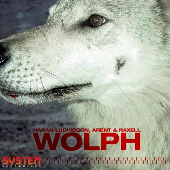 Wolph - EP by Raxell