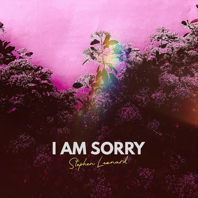 I Am Sorry